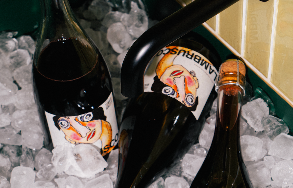 Who sells Lambrusco wine?
