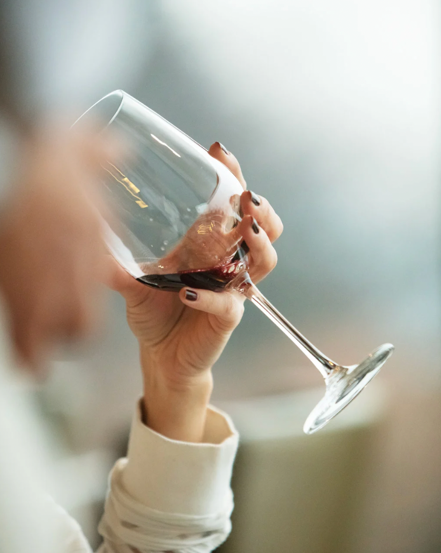 Canada’s Top 3 Lambrusco Style Wines: The Sparkling Reds Making Waves in 2025