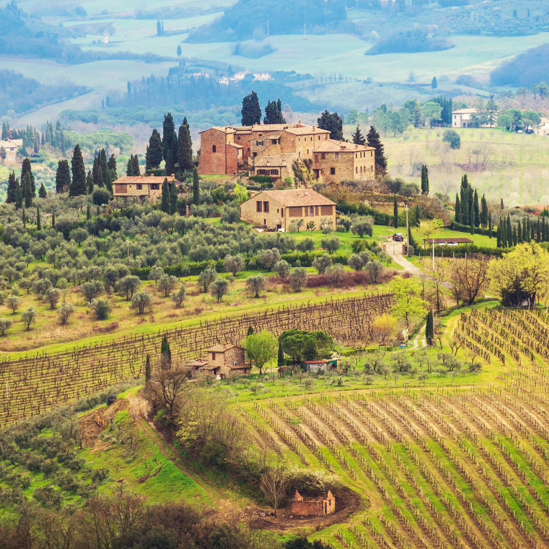 Emilia Romagna, Lambrusco and 3 Captivating Facts